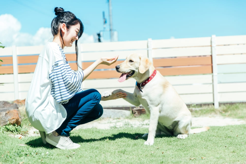 ペット可の賃貸物件